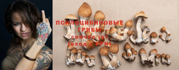 гидропоника Киреевск